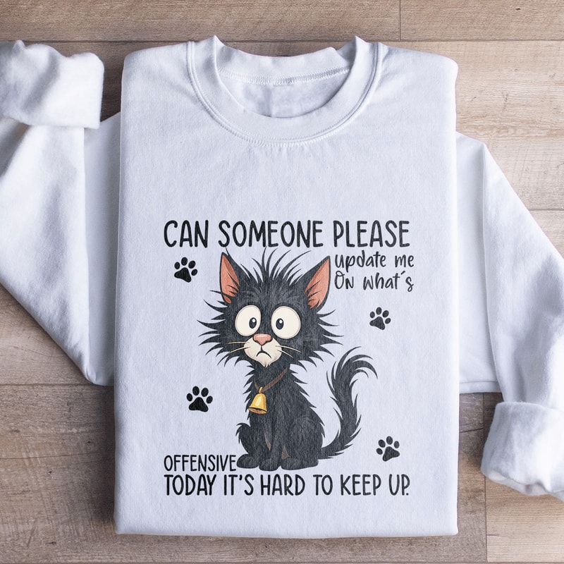 Can Someone Please Update Me Sweatshirt 0