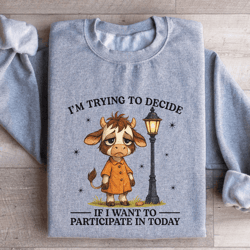i'm trying to decide sweatshirt