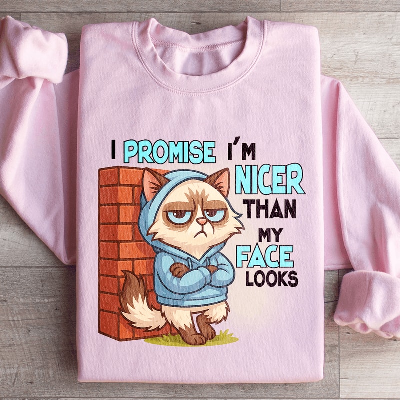 I Promise Im Nicer Than My Face Looks Sweatshirt 3