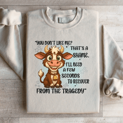 you don't like me that's a shame sweatshirt