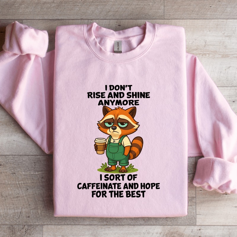 I Dont Rise And Shine Anymore Sweatshirt 4