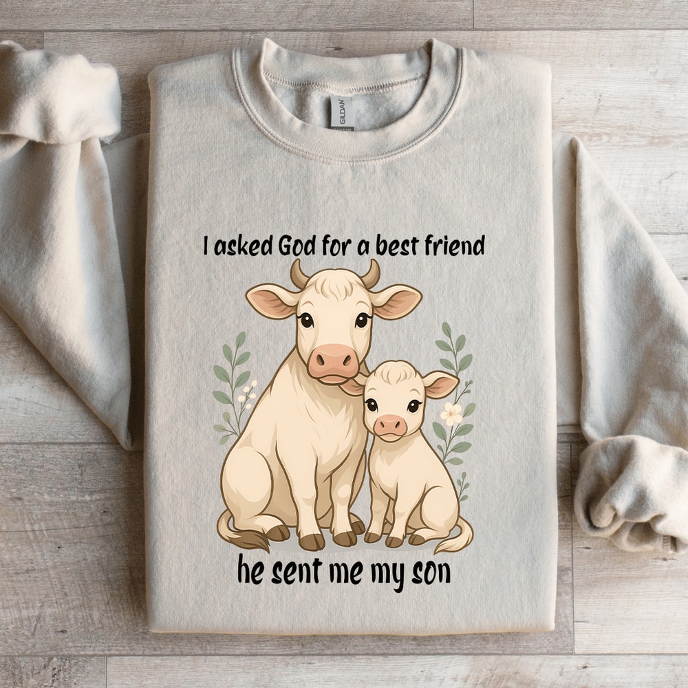 I Asked God For A Best Friend Sweatshirt 1