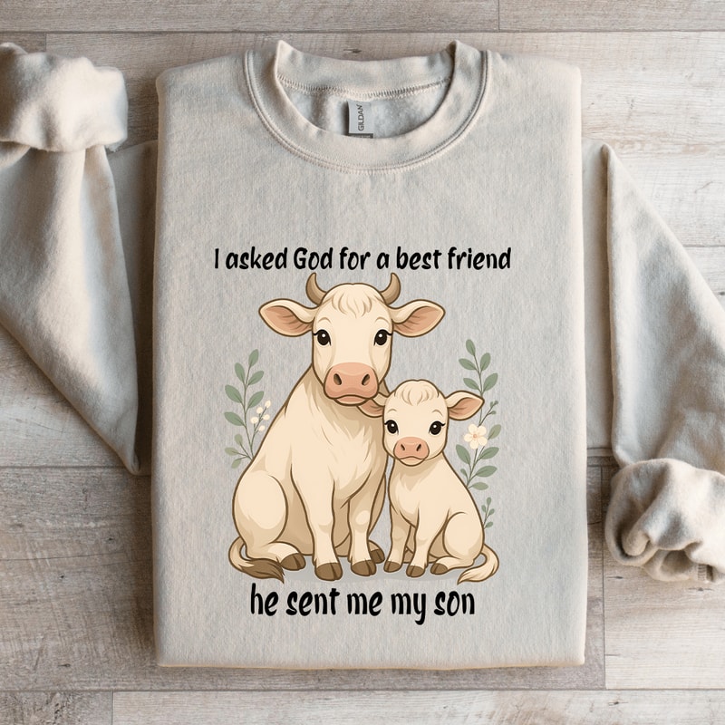 I Asked God For A Best Friend Sweatshirt 1