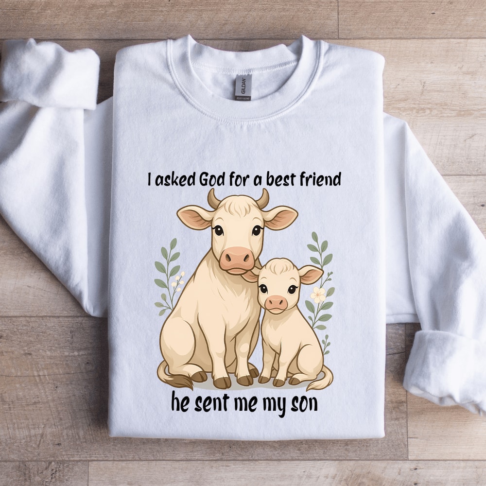 I Asked God For A Best Friend Sweatshirt 2