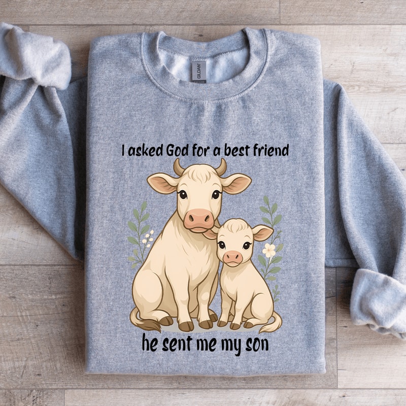 I Asked God For A Best Friend Sweatshirt 0