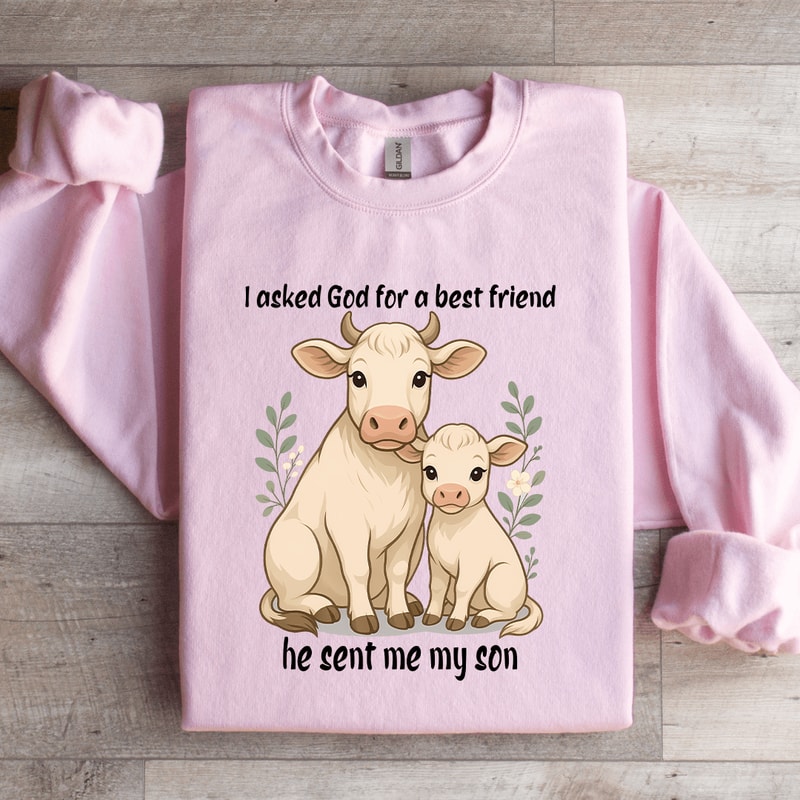 I Asked God For A Best Friend Sweatshirt 4