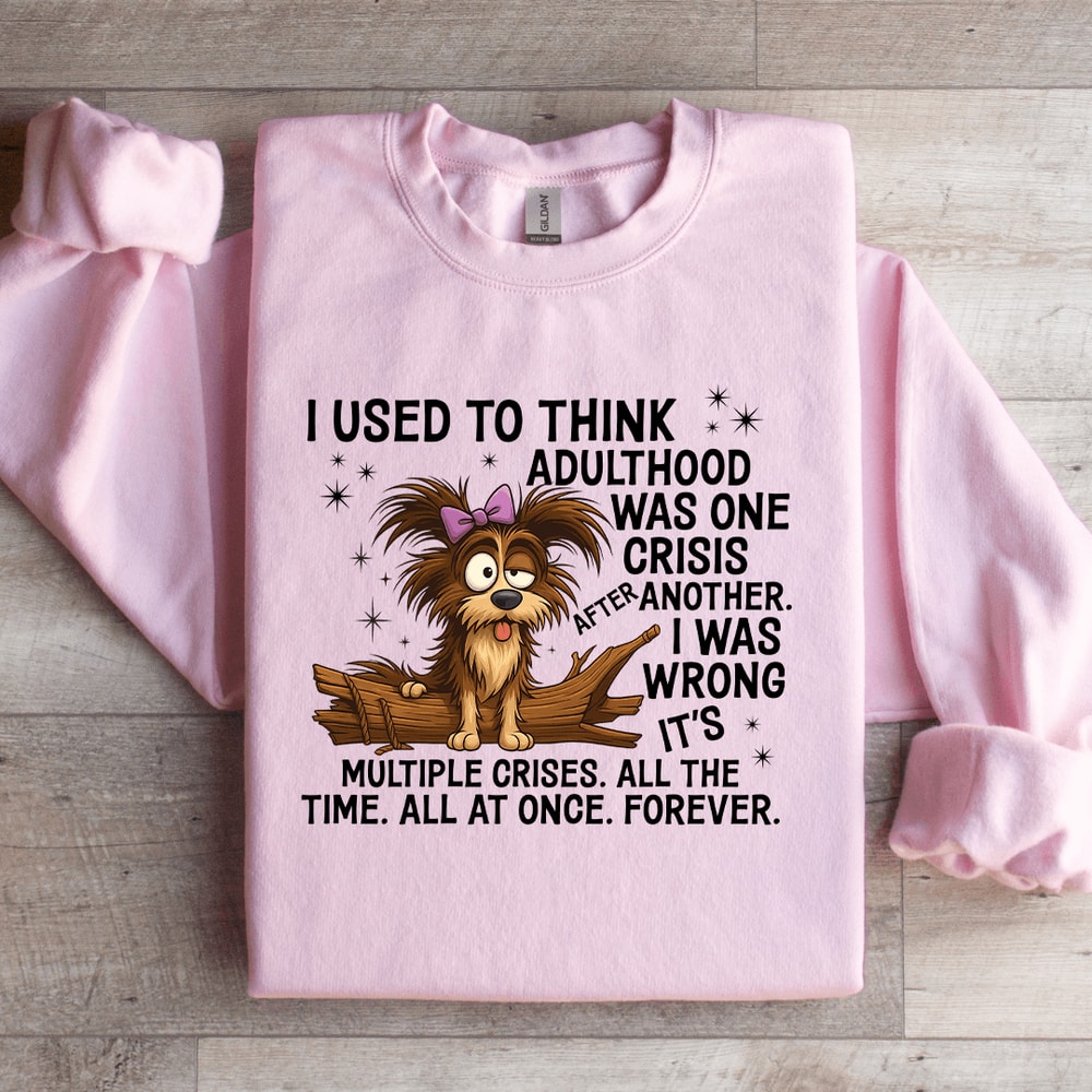I Used To Think Adulthood Was One Crisis After Another Sweatshirt 0