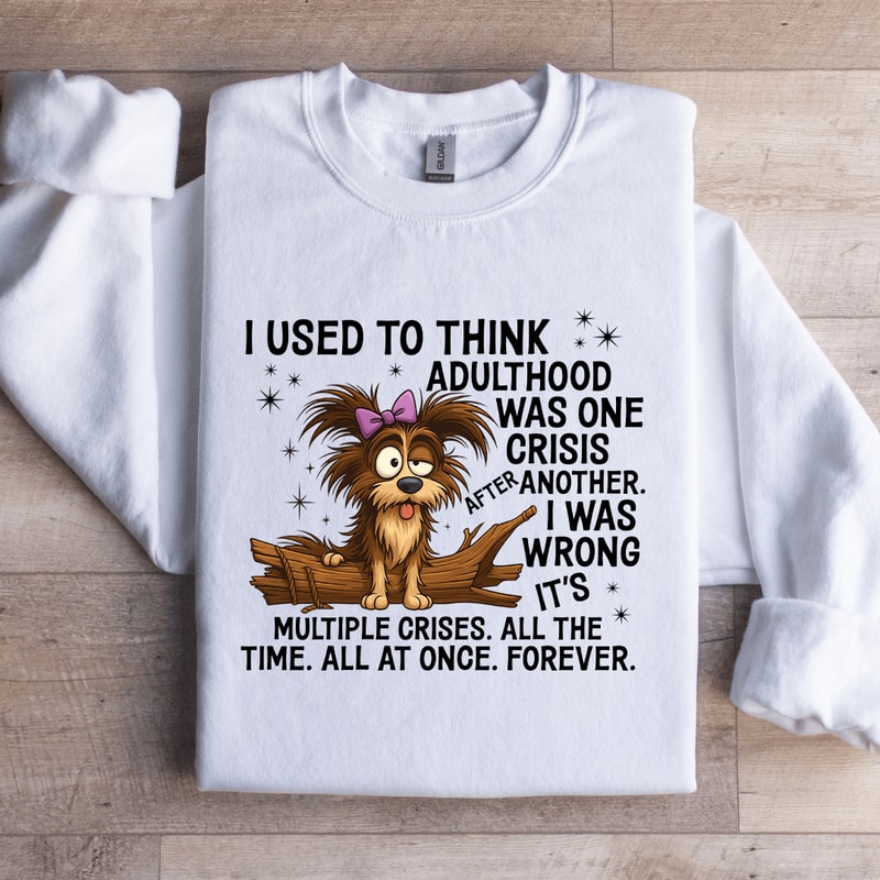 I Used To Think Adulthood Was One Crisis After Another Sweatshirt 2