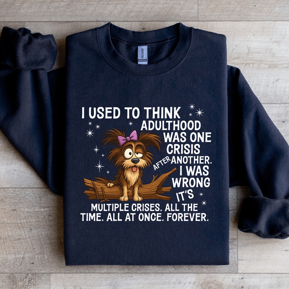 I Used To Think Adulthood Was One Crisis After Another Sweatshirt 3