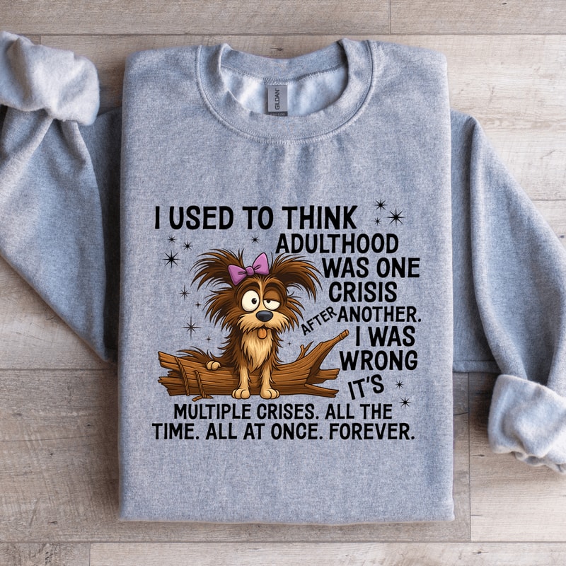 I Used To Think Adulthood Was One Crisis After Another Sweatshirt 4