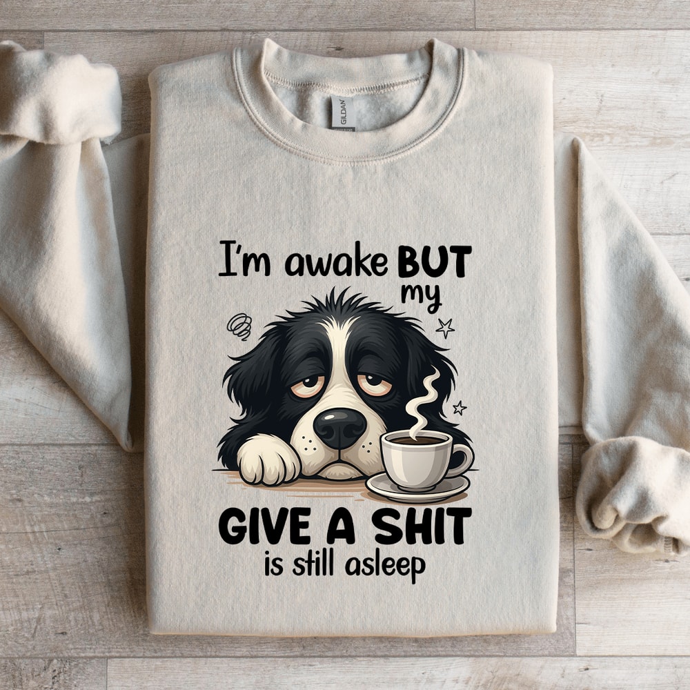 Im Awake But My Give A Sit Is Still Asleep Sweatshirt 1