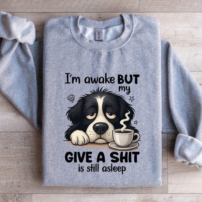 Im Awake But My Give A Sit Is Still Asleep Sweatshirt 3