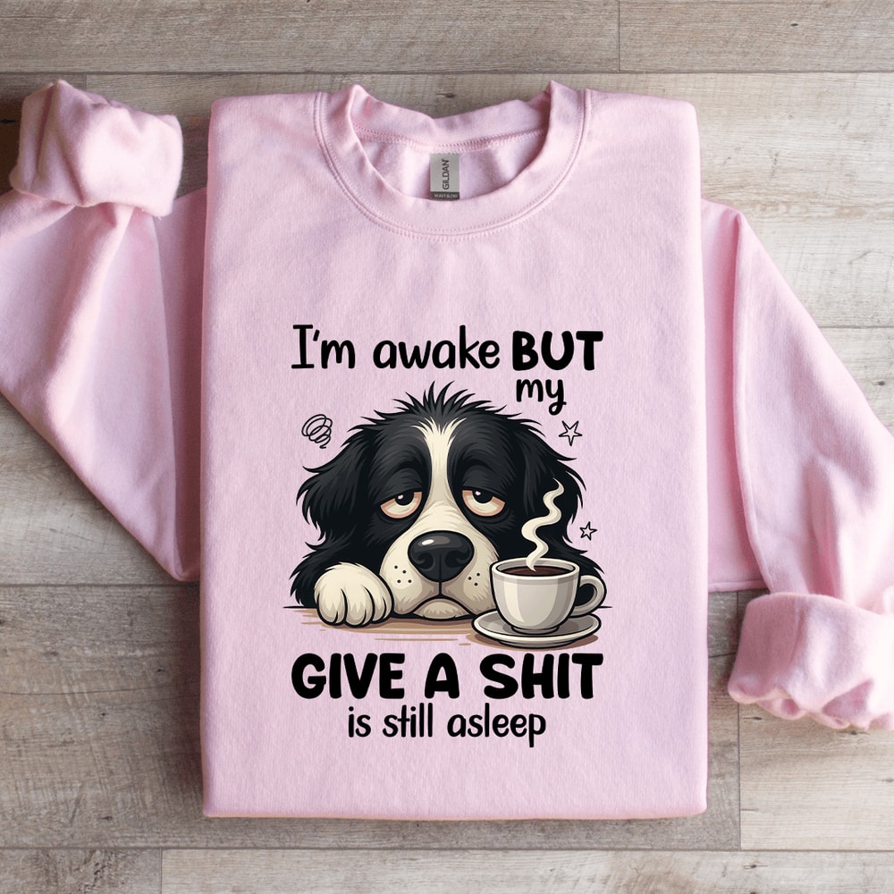 Im Awake But My Give A Sit Is Still Asleep Sweatshirt 4