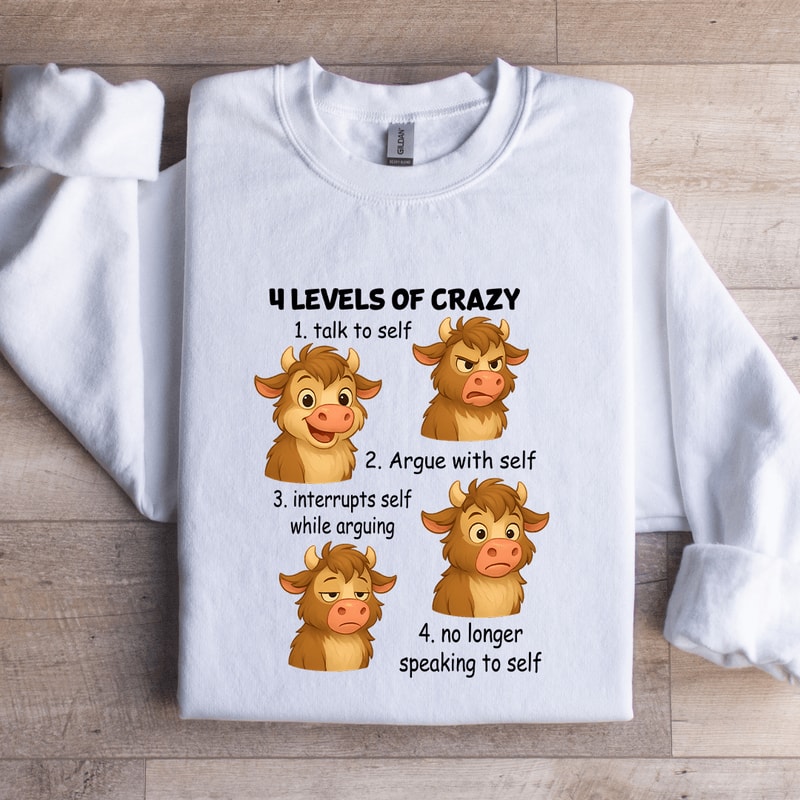 4 Levels Of Crazy 1 Talk To Self Sweatshirt 2
