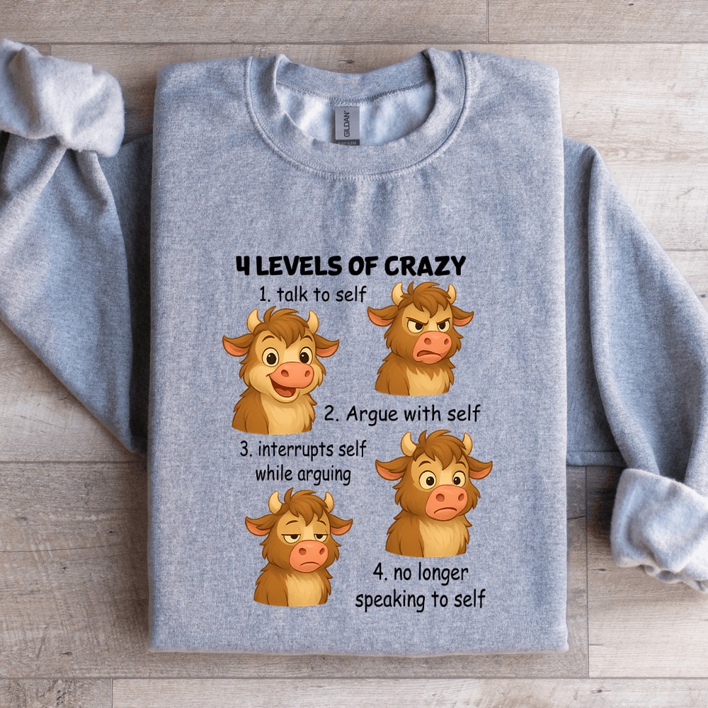 4 Levels Of Crazy 1 Talk To Self Sweatshirt 4