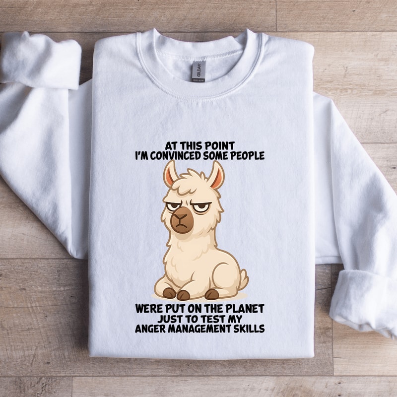 At This Point Im Convinced Some People Were Put On The Planet Sweatshirt 2