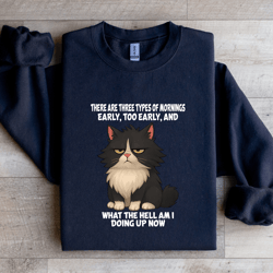 there are three types of mornings early too early sweatshirt