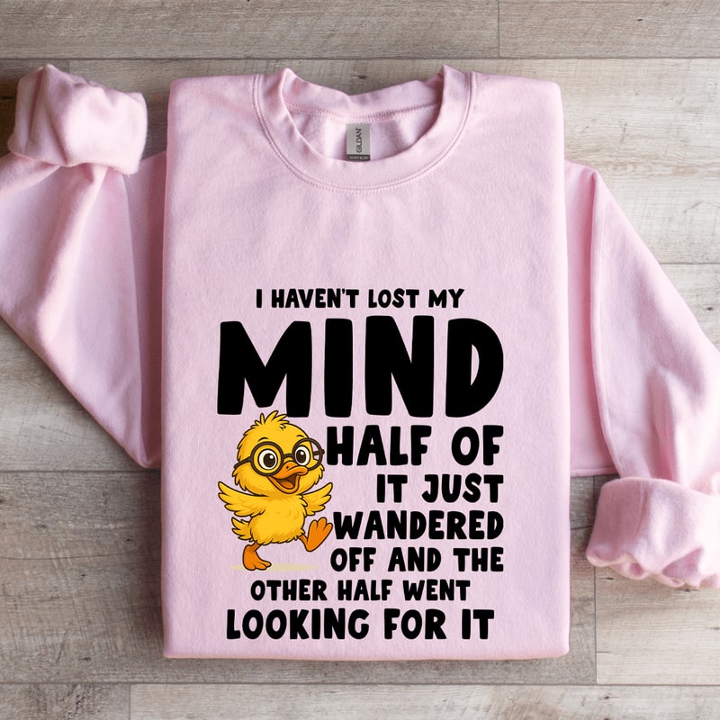 I Havent Lost My Mind Half Of It Just Wandered Sweatshirt 3