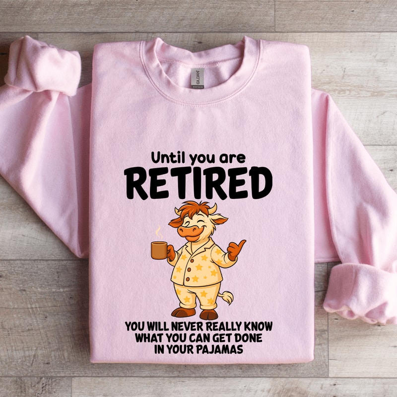 Until You Are Retired You Will Never Really Know Sweatshirt 3