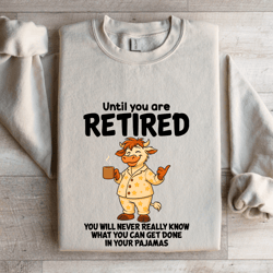until you are retired you will never really know sweatshirt