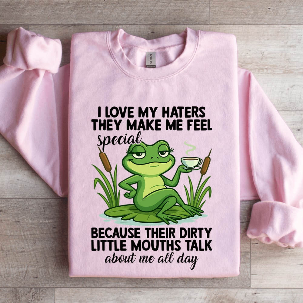 I Love My Haters They Make Me Feel Special Sweatshirt 3