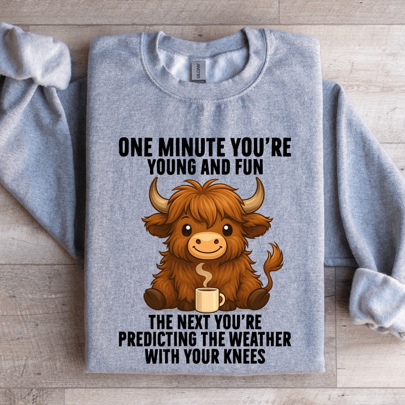 One Minute Youre Young And Fun Sweatshirt 0