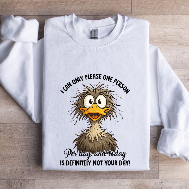 I Can Only Please One Person Per Day Sweatshirt 1