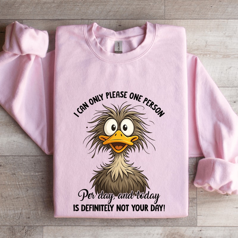 I Can Only Please One Person Per Day Sweatshirt 3