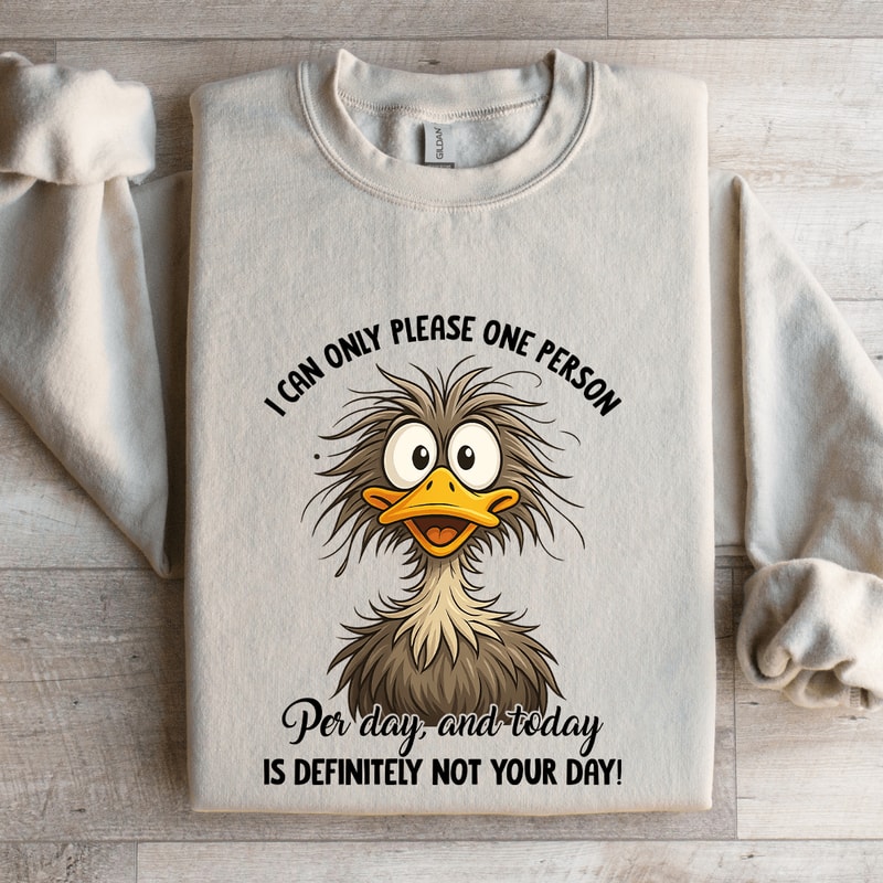 I Can Only Please One Person Per Day Sweatshirt 4