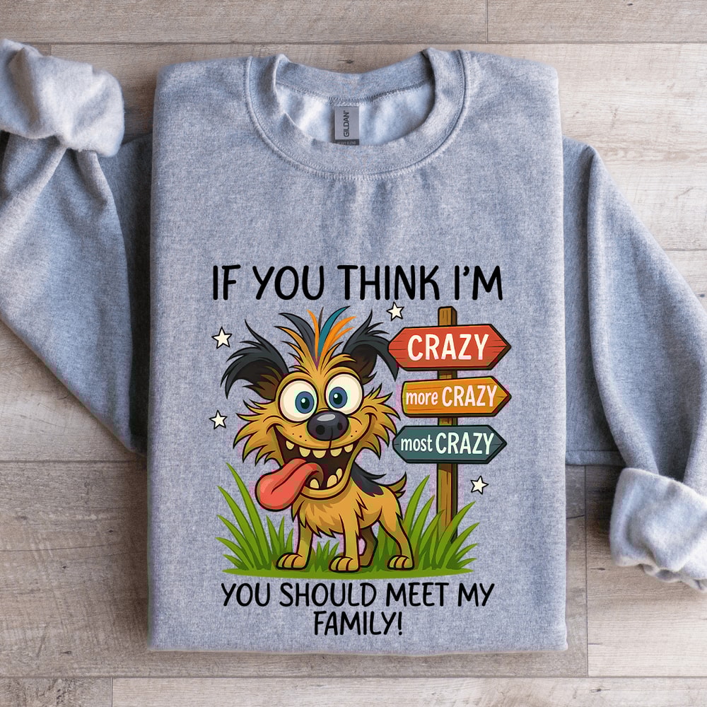 If You Think Im Crazy Sweatshirt 3