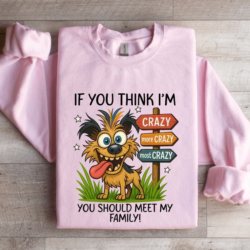 If You Think Im Crazy Sweatshirt 0