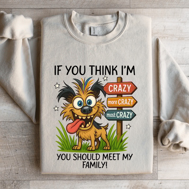 If You Think Im Crazy Sweatshirt 4