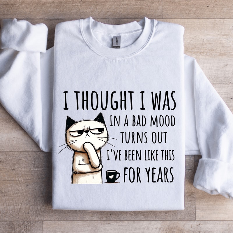 I Thought I Was In A Bad Mood Turns Out Sweatshirt 0