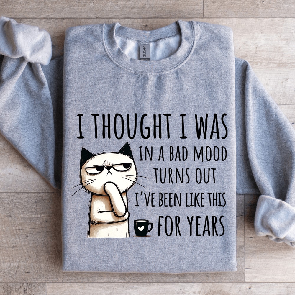 I Thought I Was In A Bad Mood Turns Out Sweatshirt 2