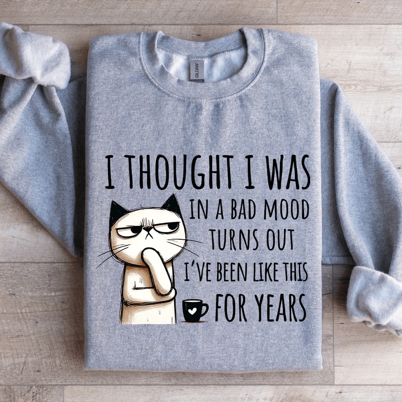 I Thought I Was In A Bad Mood Turns Out Sweatshirt 2