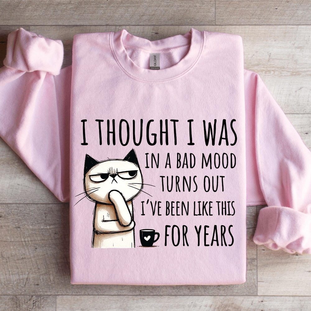 I Thought I Was In A Bad Mood Turns Out Sweatshirt 3
