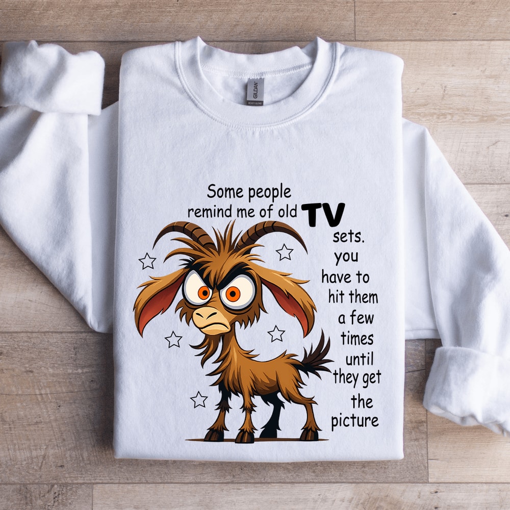 Some People Remind Me Of Old Tv Sets Sweatshirt 0