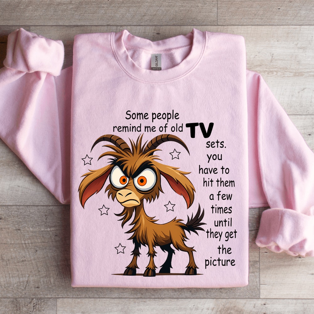 Some People Remind Me Of Old Tv Sets Sweatshirt 3