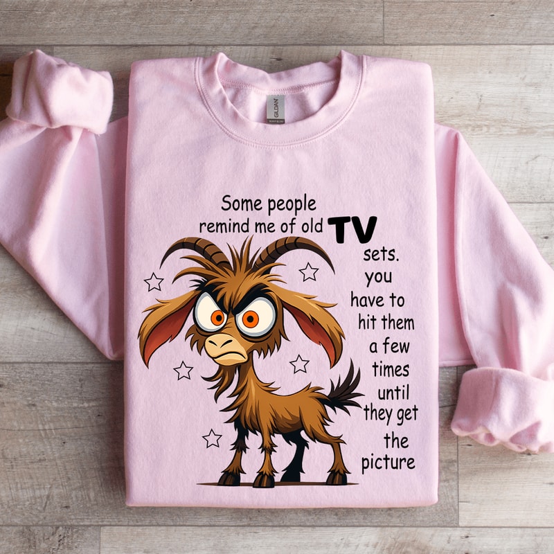 Some People Remind Me Of Old Tv Sets Sweatshirt 3