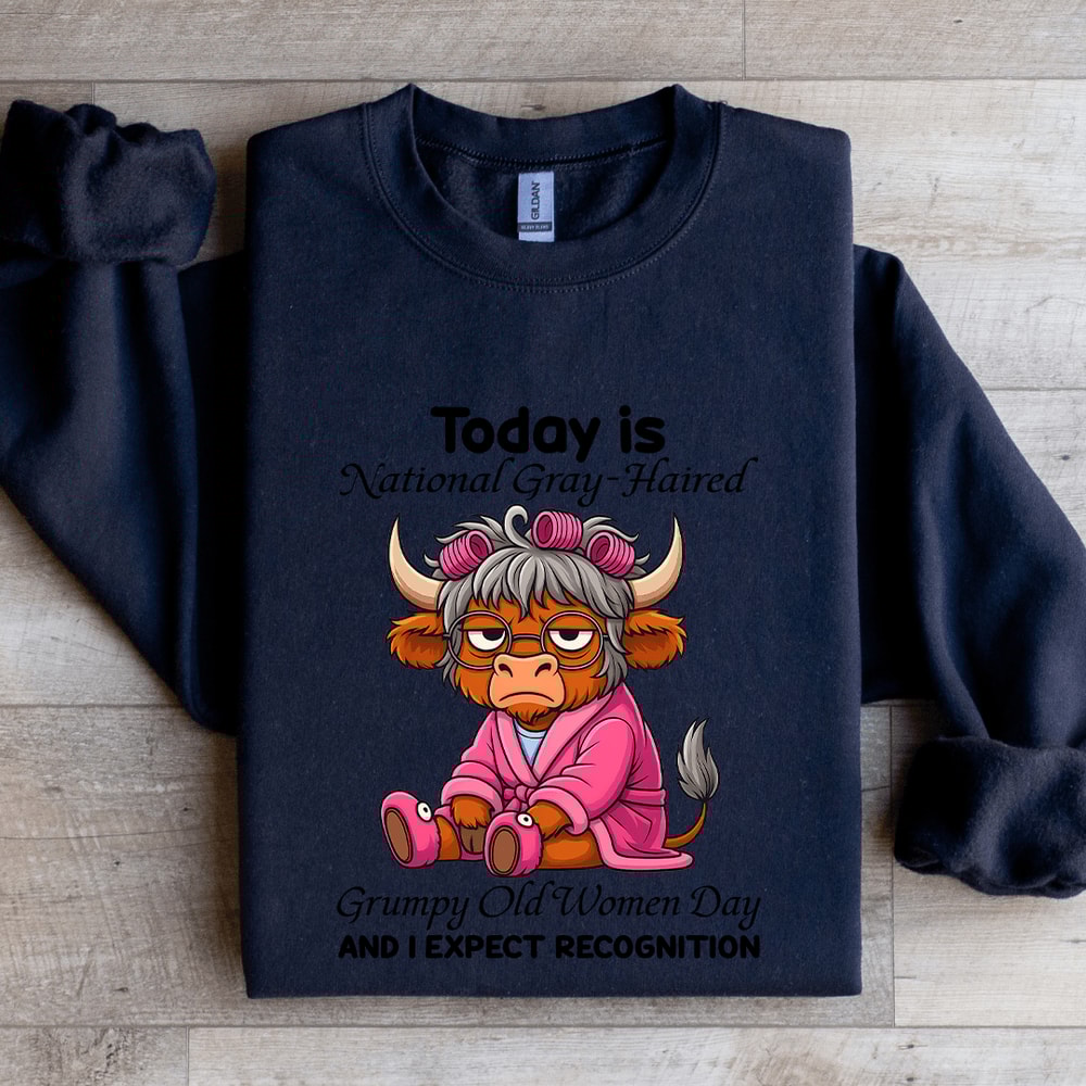 Today Is National Gray Haired Grumpy Old Women Day Sweatshirt 1