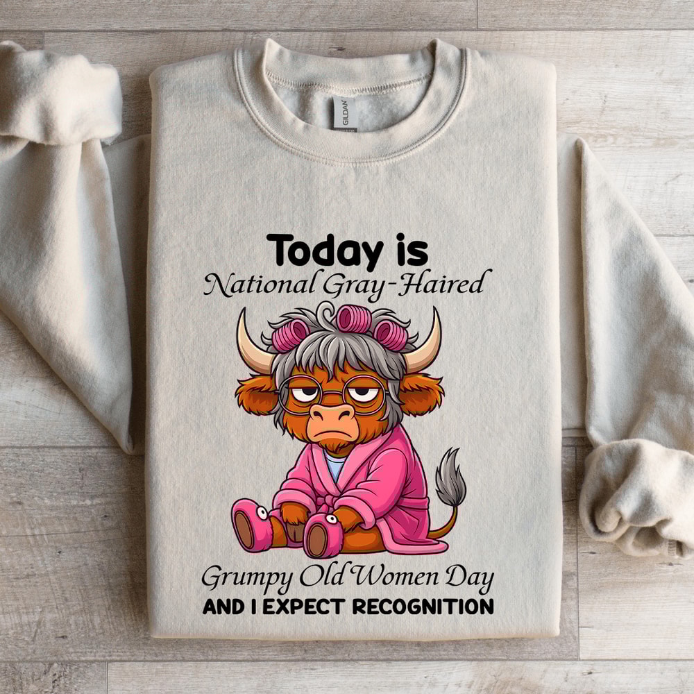 Today Is National Gray Haired Grumpy Old Women Day Sweatshirt 4
