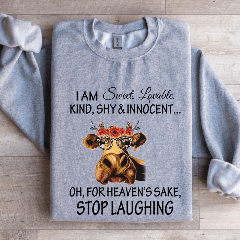 I Am Sweet Lovable Kind Shy Innocent Sweatshirt 3