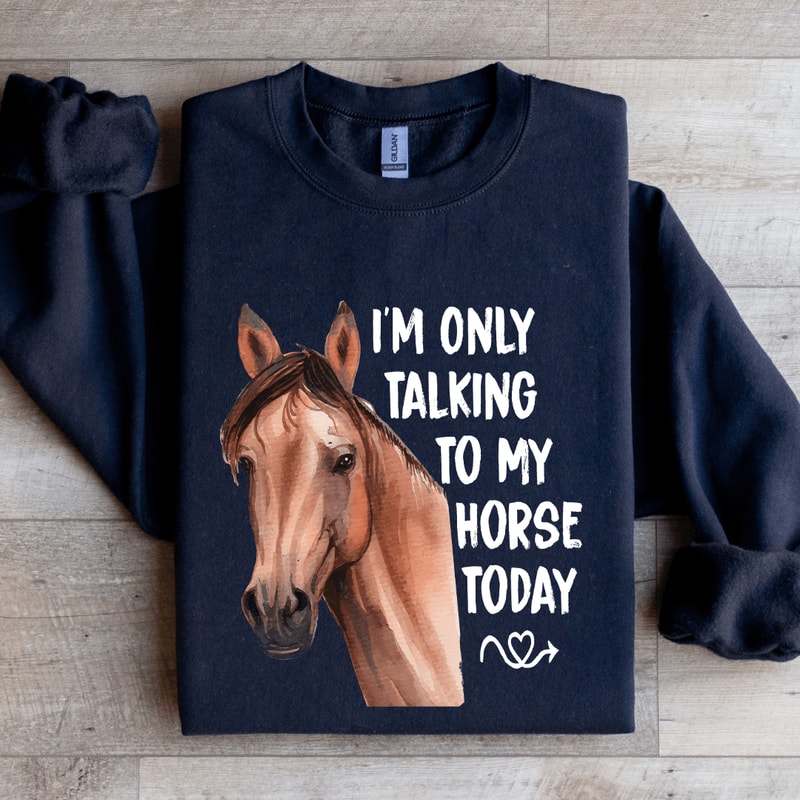 Im Only Talking To My Horse Today Sweatshirt 2