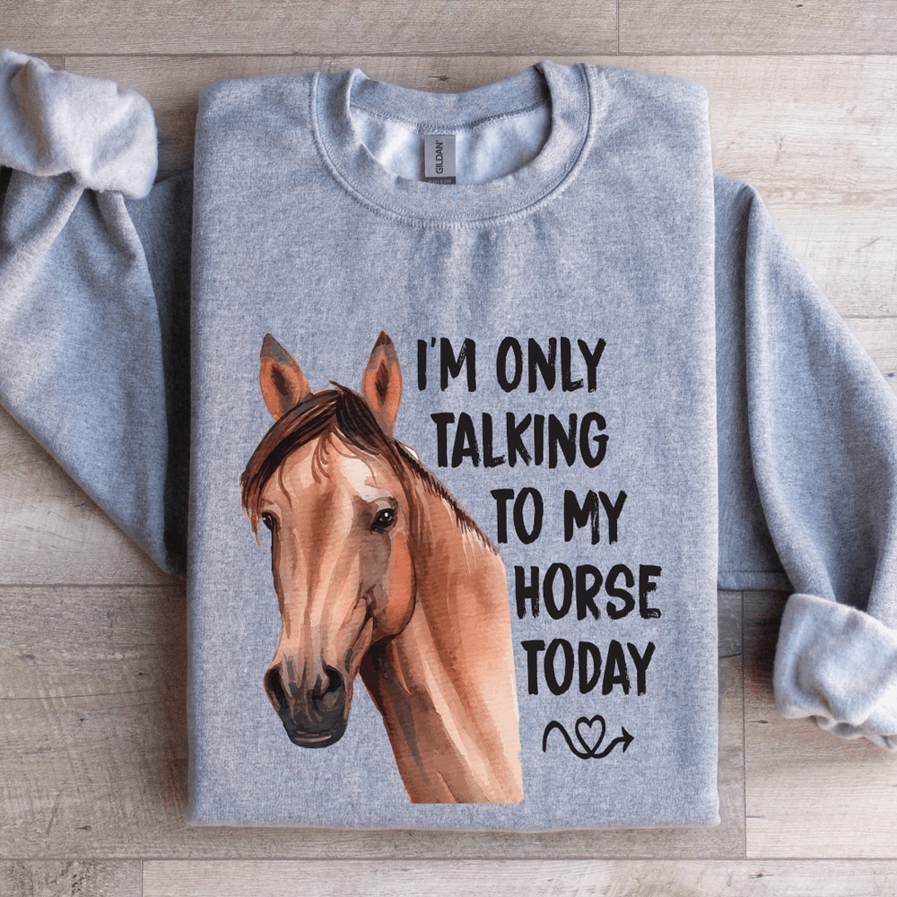 Im Only Talking To My Horse Today Sweatshirt 3