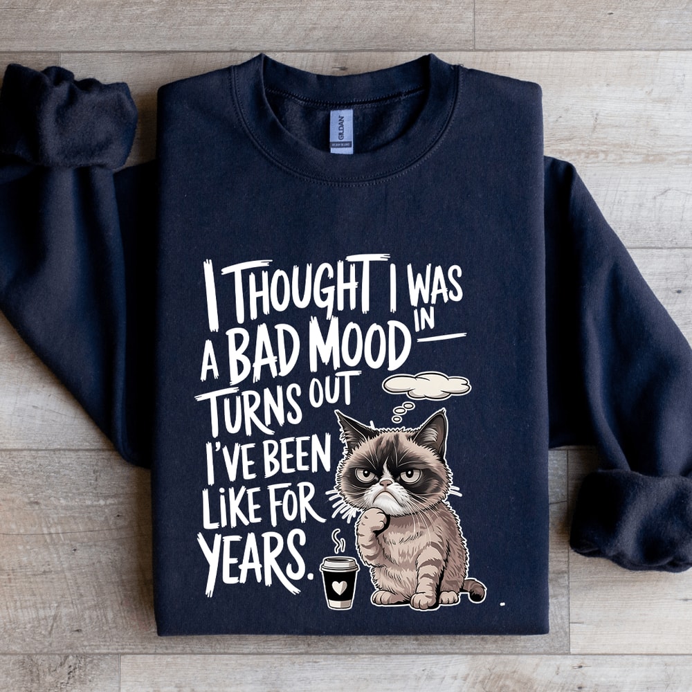 I Thought I Was In A Bad Mood Turns Out Sweatshirt 2