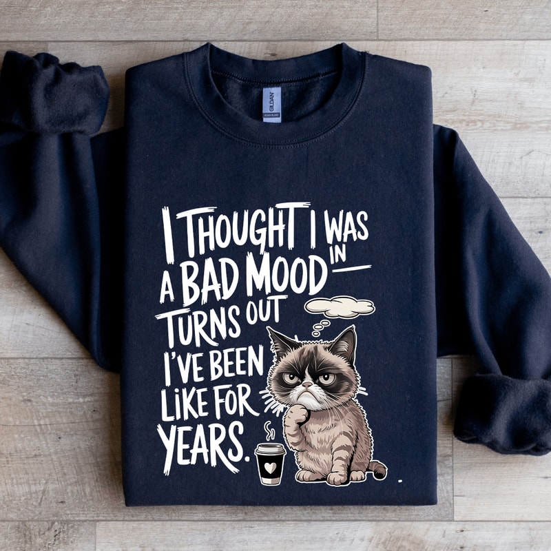 I Thought I Was In A Bad Mood Turns Out Sweatshirt 2