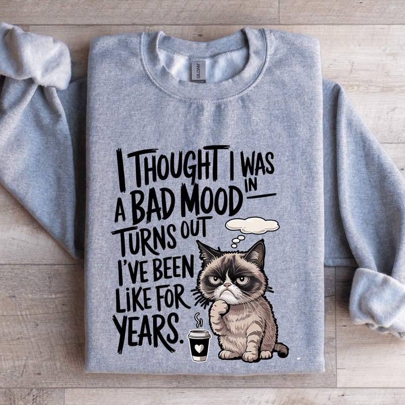 I Thought I Was In A Bad Mood Turns Out Sweatshirt 3