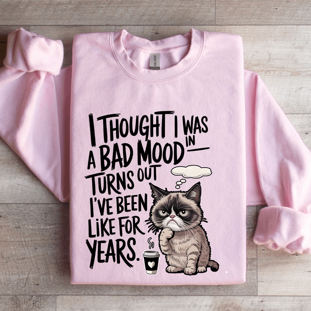 I Thought I Was In A Bad Mood Turns Out Sweatshirt 4