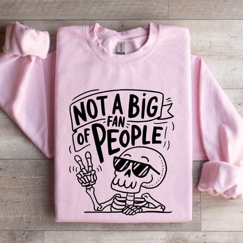 Not A Big Fan Of People Sweatshirt 3