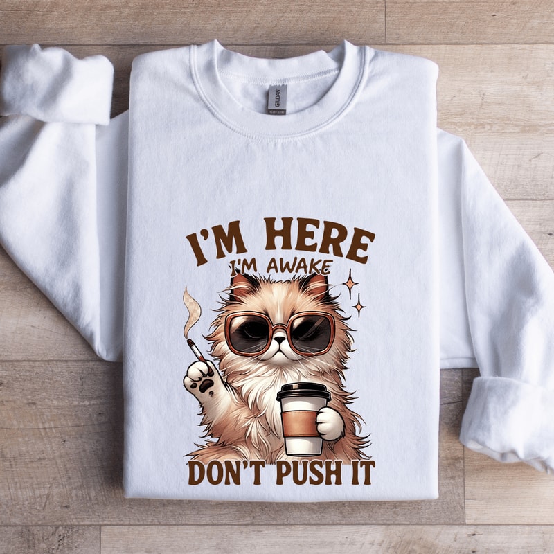 Im Here Im Awake Dont Push It Sweatshirt 1